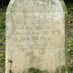ALBOROUGH Jeremiah 1871